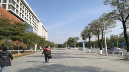 广州天河区5月16日开展全区全员核酸检测工作